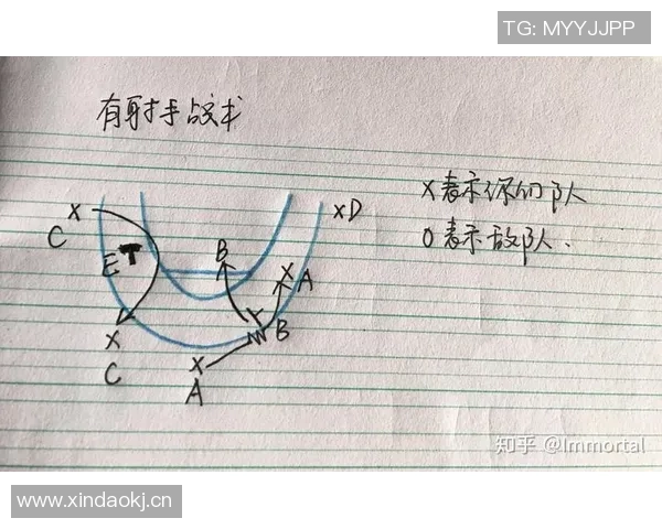 深圳篮球队战术表现深度分析与数据解读探讨